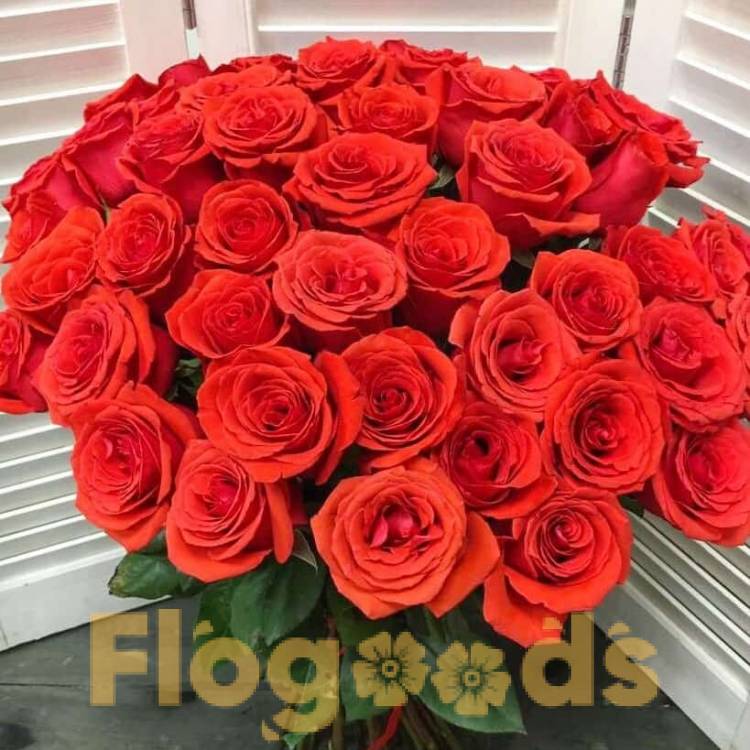 51 красная роза за 19 582 руб.